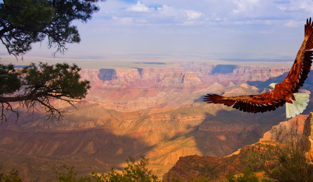 The Wonders and History of the Grand Canyon