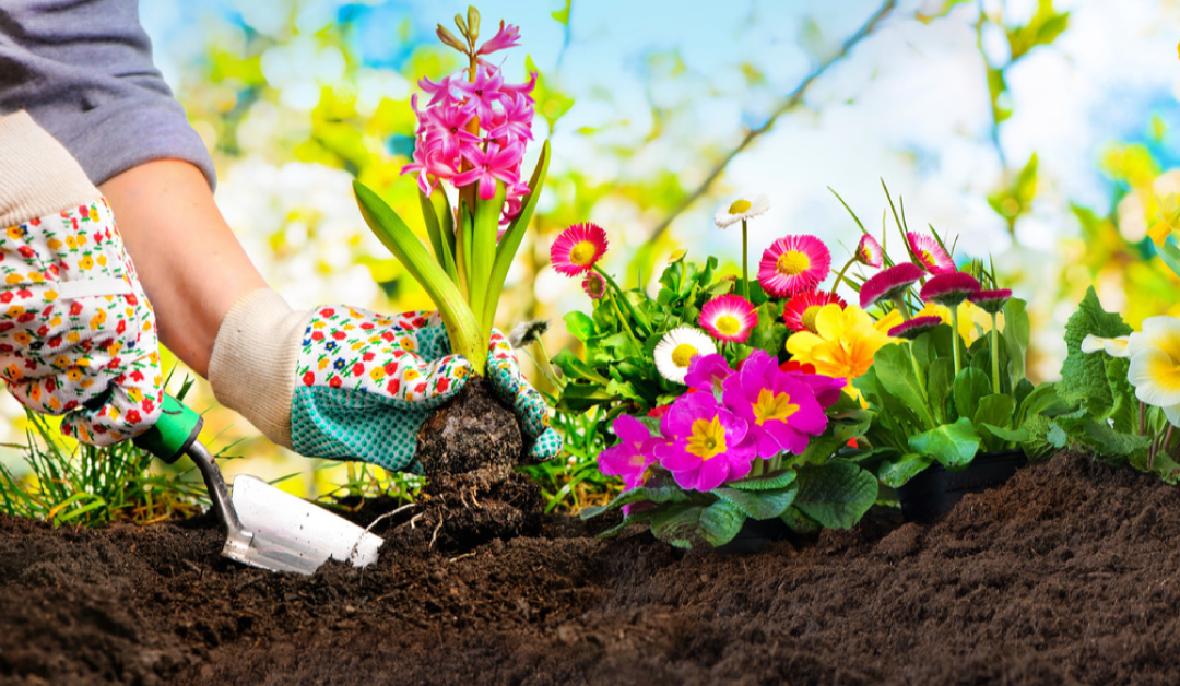 Build A Garden That Blooms All Season