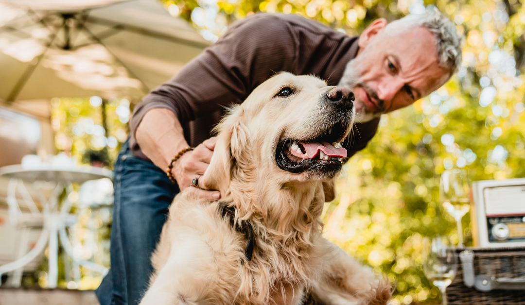 Mental Health and Wellness Strategies for Retirement